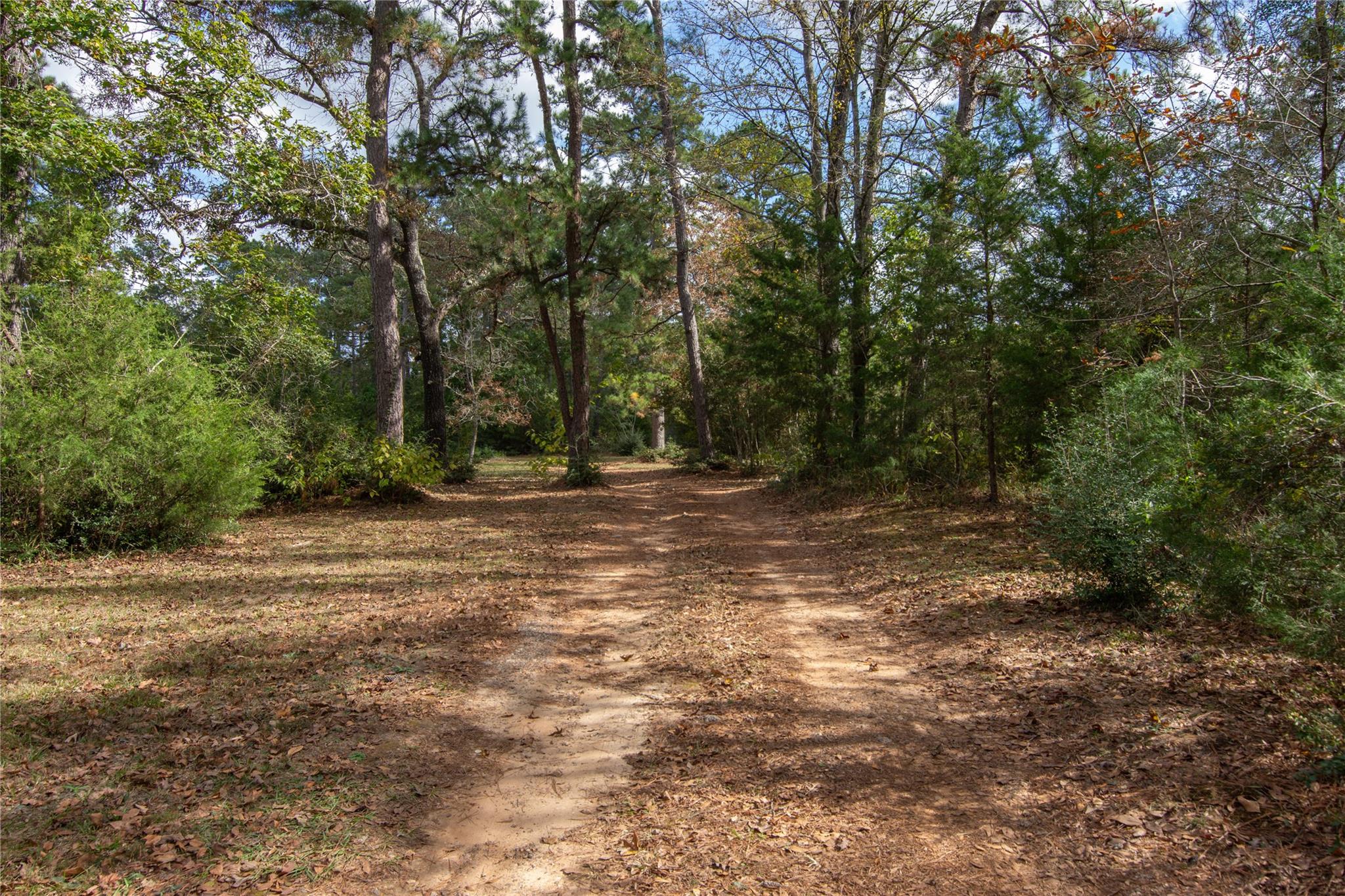 1080 Hill Road