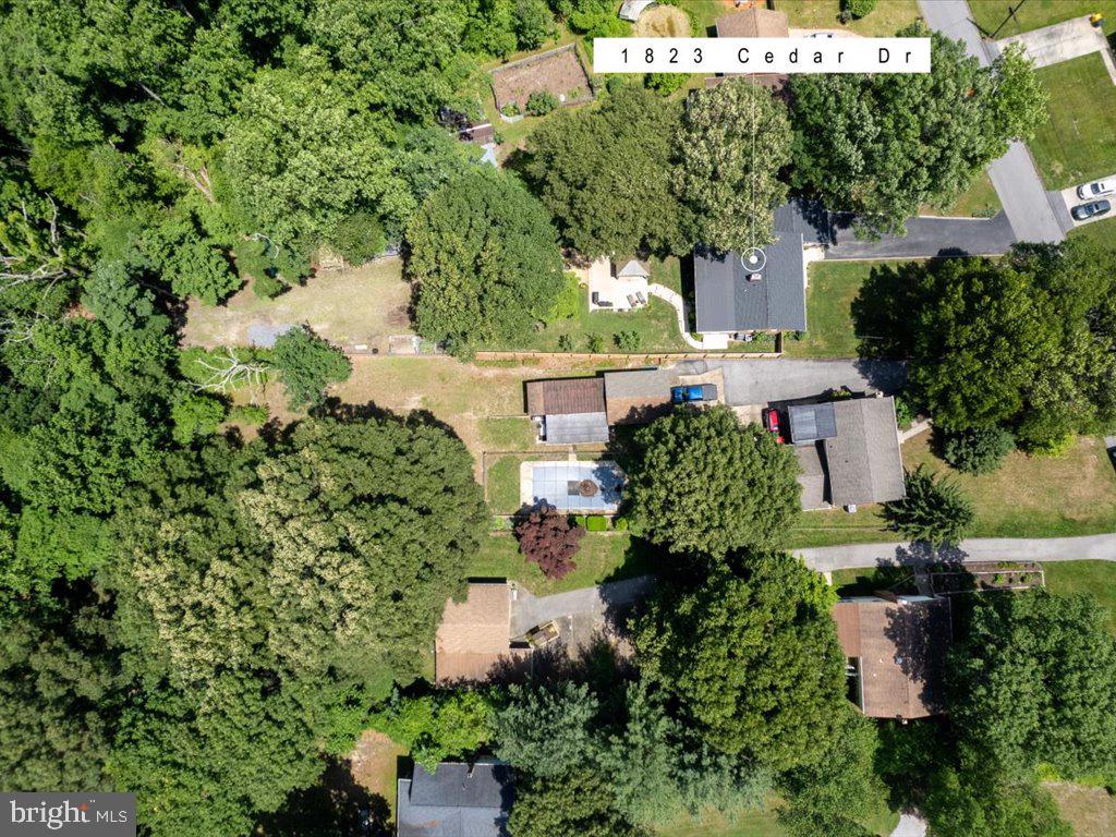 1823 Cedar Dr