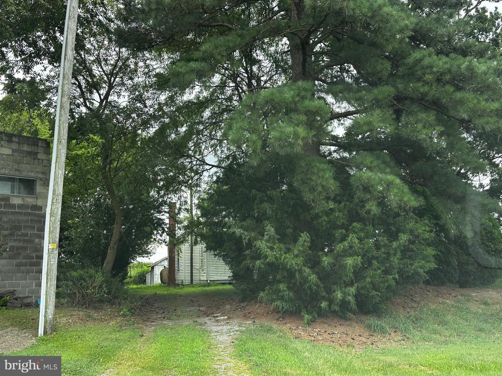 1500 Roe Ingleside Rd