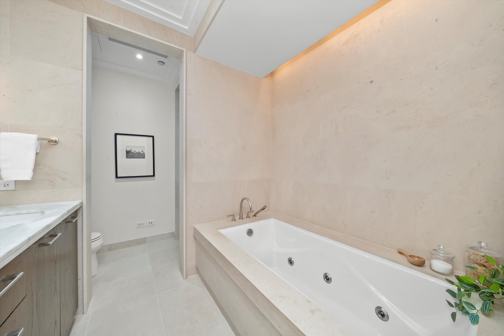 159 E Walton Place Unit: 12C