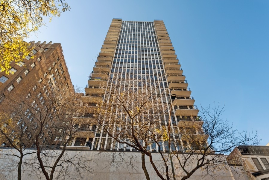 1230 N State Parkway Unit: 20C