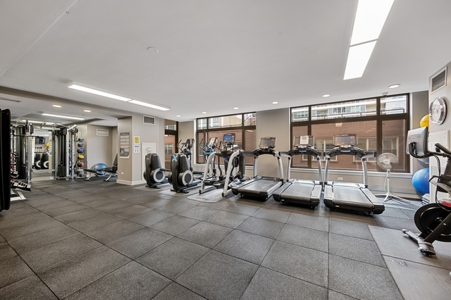 530 N LAKE SHORE Drive Unit: 2009
