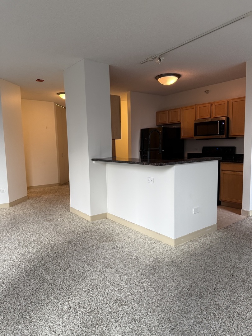 222 N COLUMBUS Drive Unit: 2102