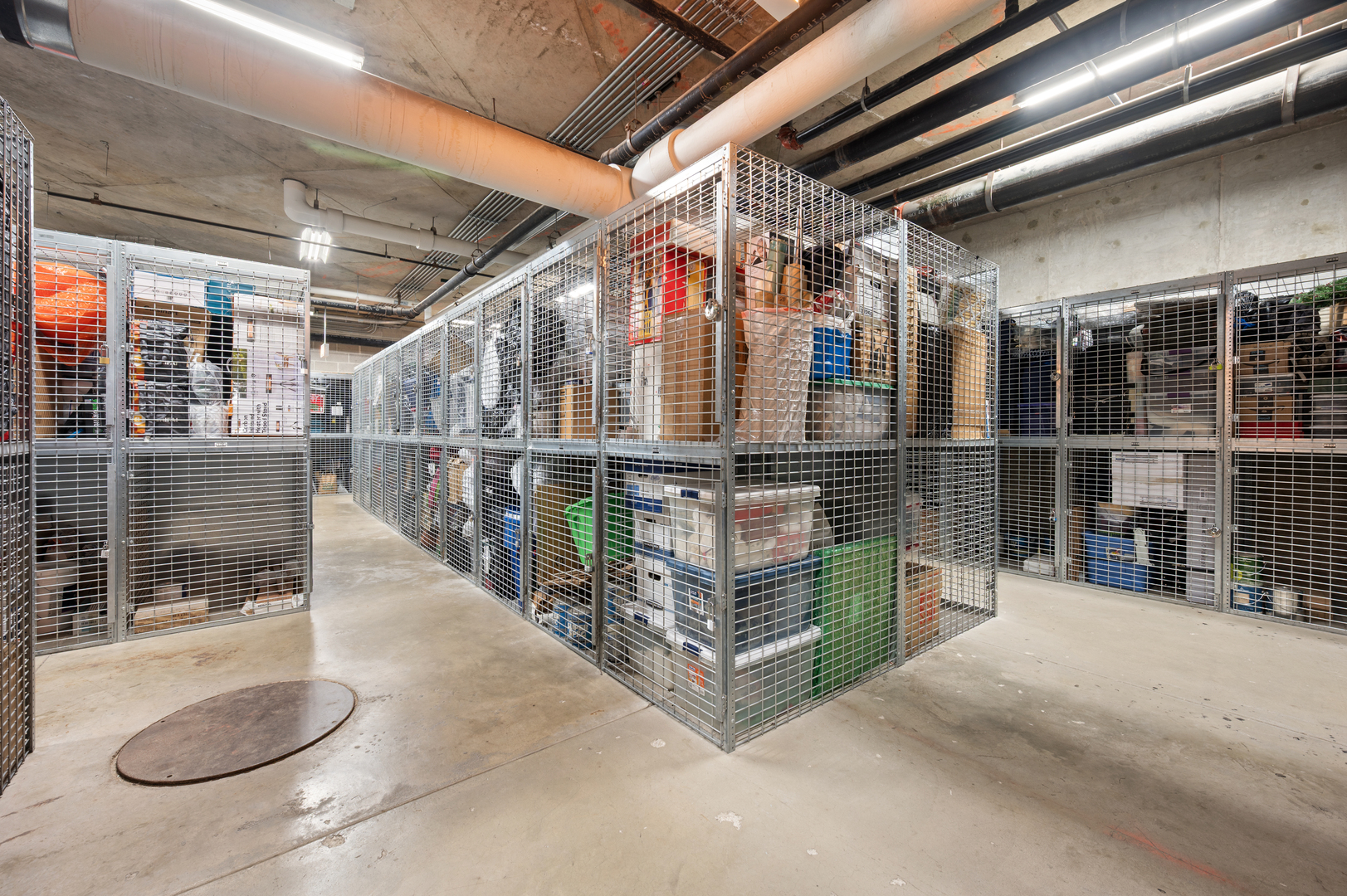 505 N McClurg Court Unit: 3001