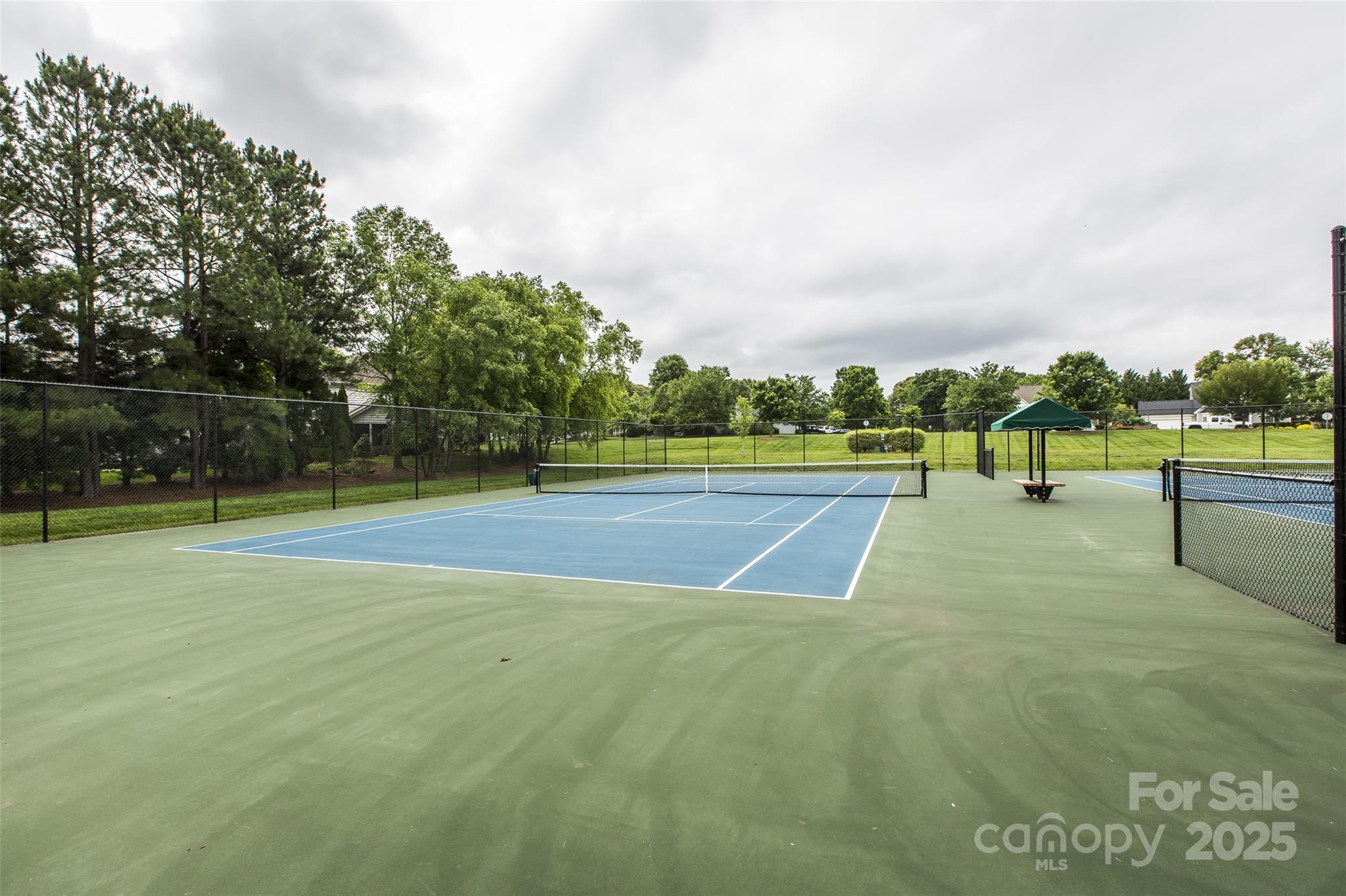 18861 Vineyard Point Lane