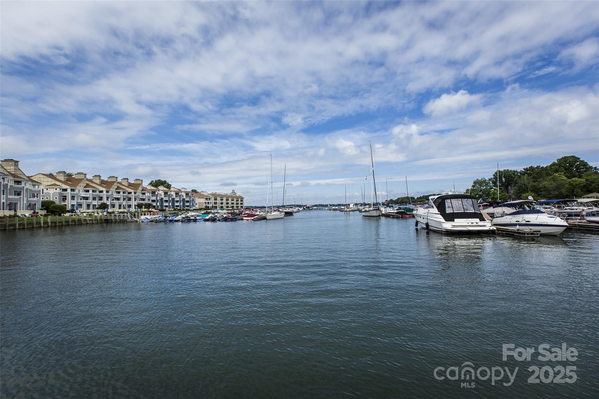 18861 Vineyard Point Lane