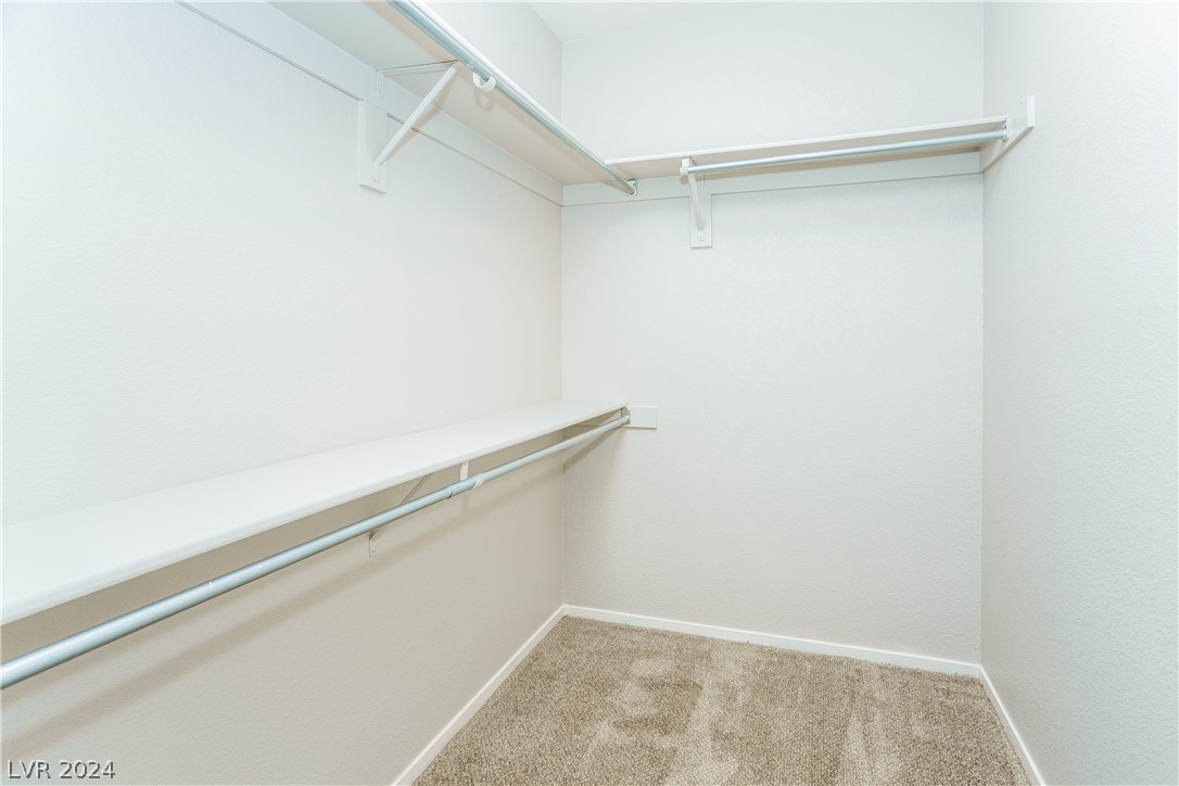 1113 Turnstone Court