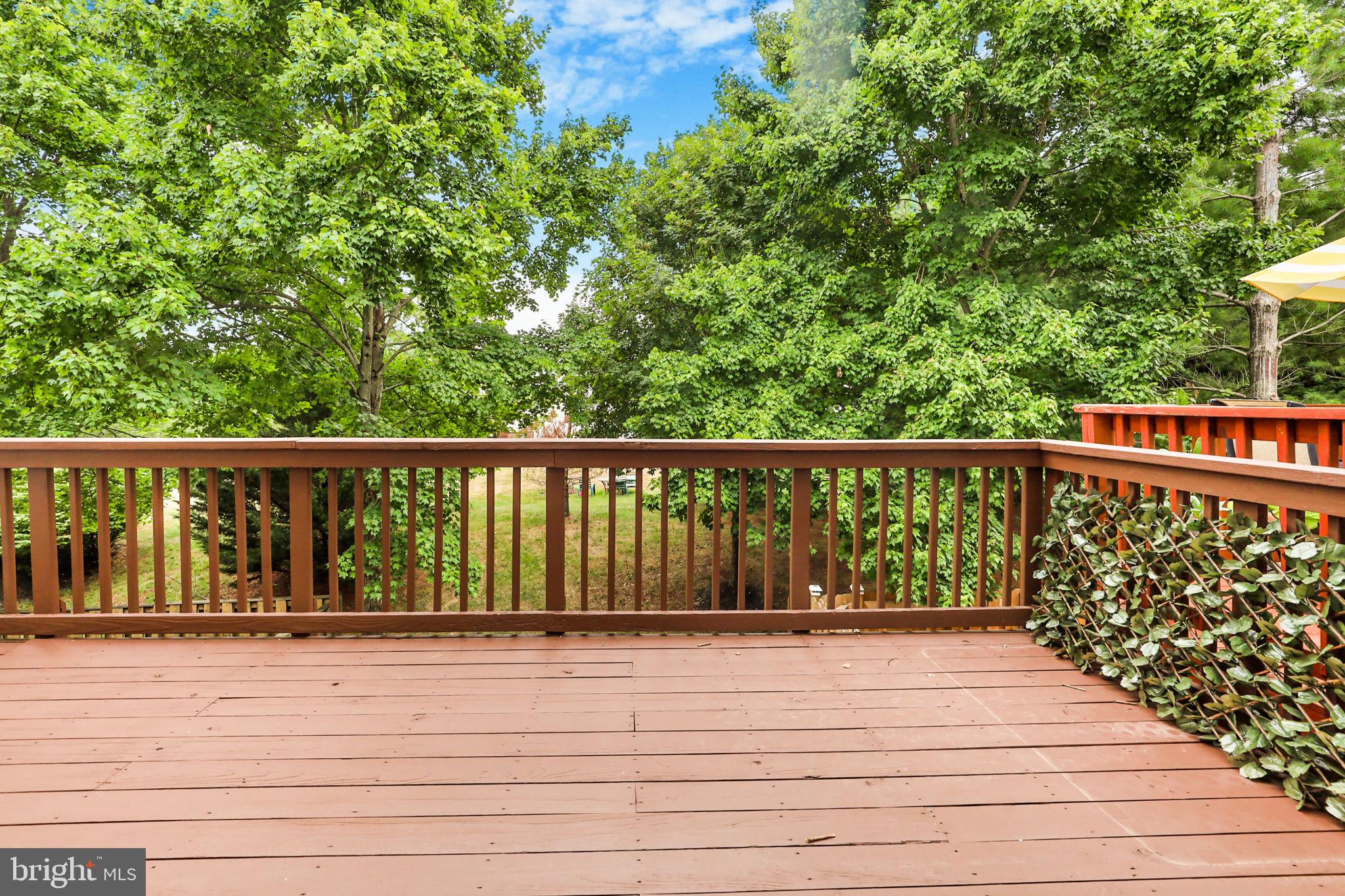 43056 CANDLEWICK SQUARE