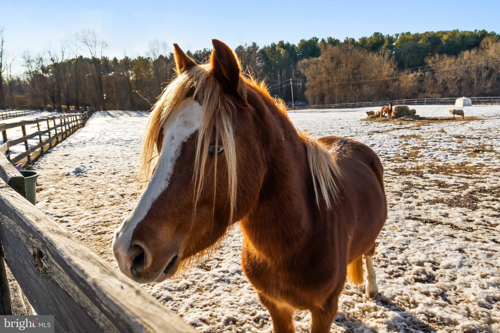 40034 FEATHERBED LANE