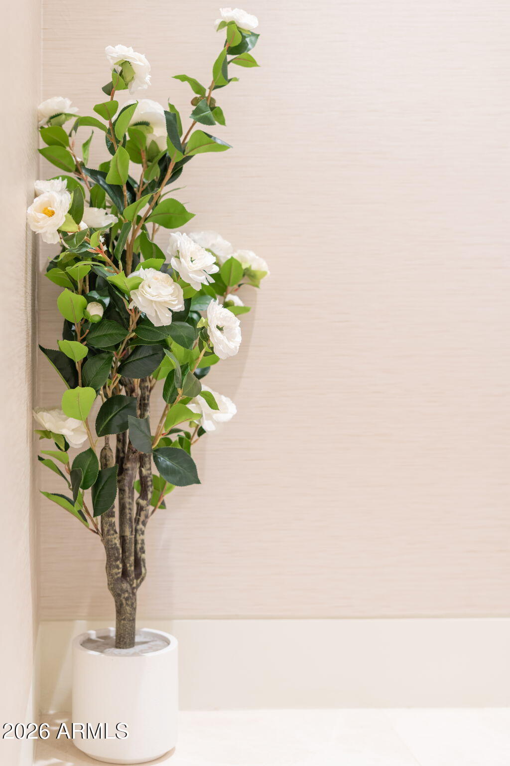 6587 N PALMERAIE Boulevard 2015