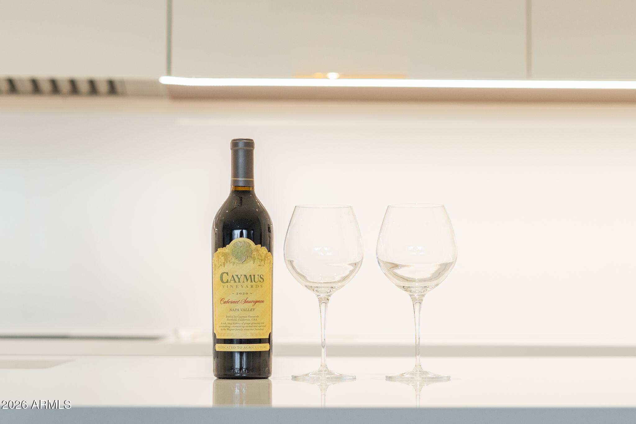 6587 N PALMERAIE Boulevard 2015