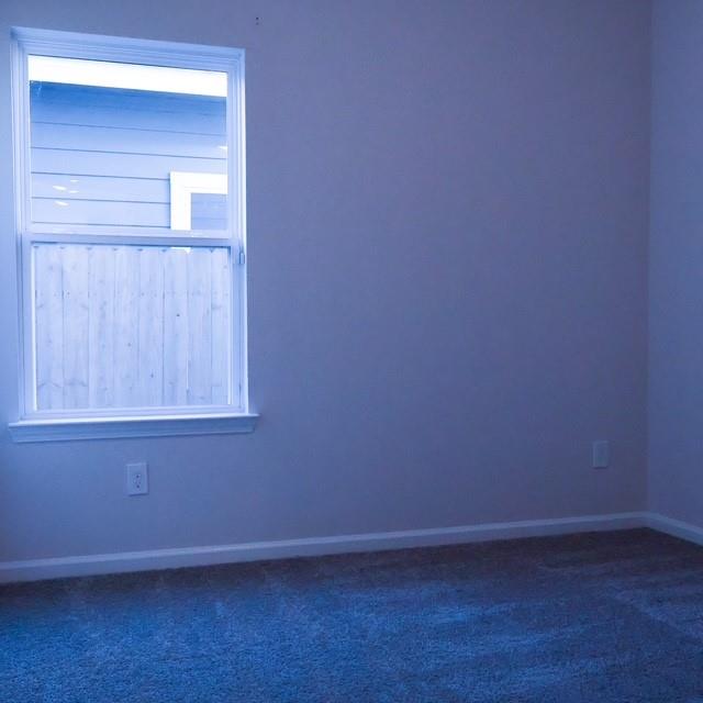 3338 Brushy Marsh Drive