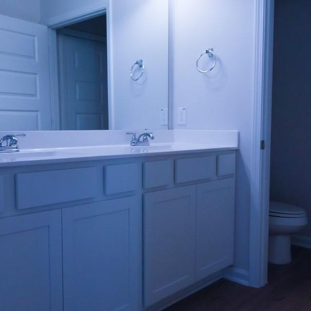 3338 Brushy Marsh Drive