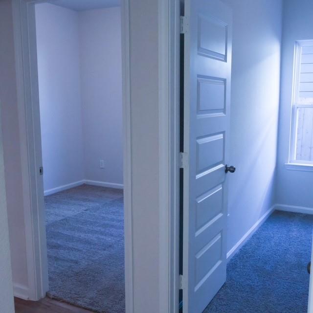 3338 Brushy Marsh Drive