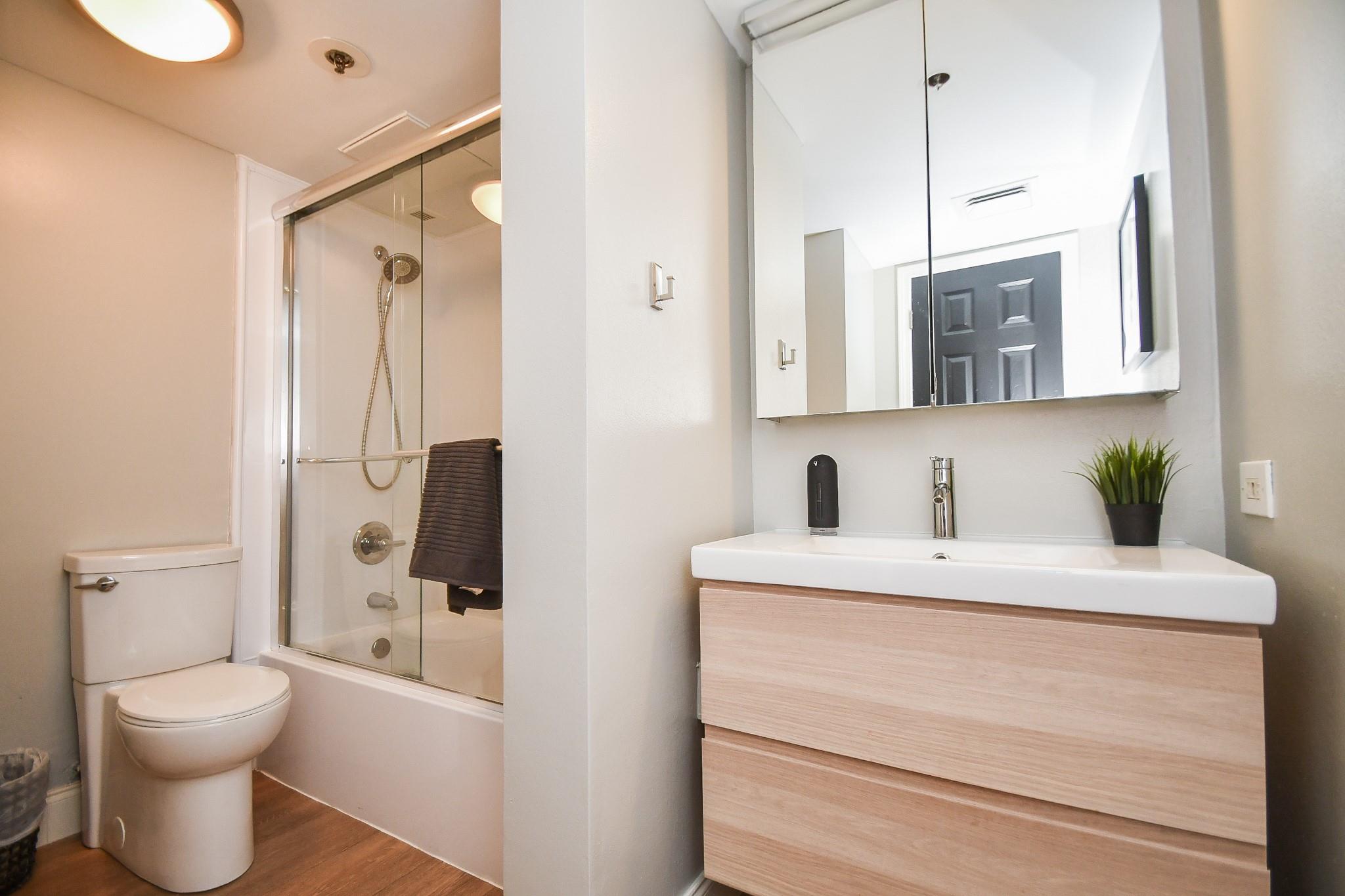 Modern bathroom with a glass shower, toilet, and light wood vanity topped by a potted plant.