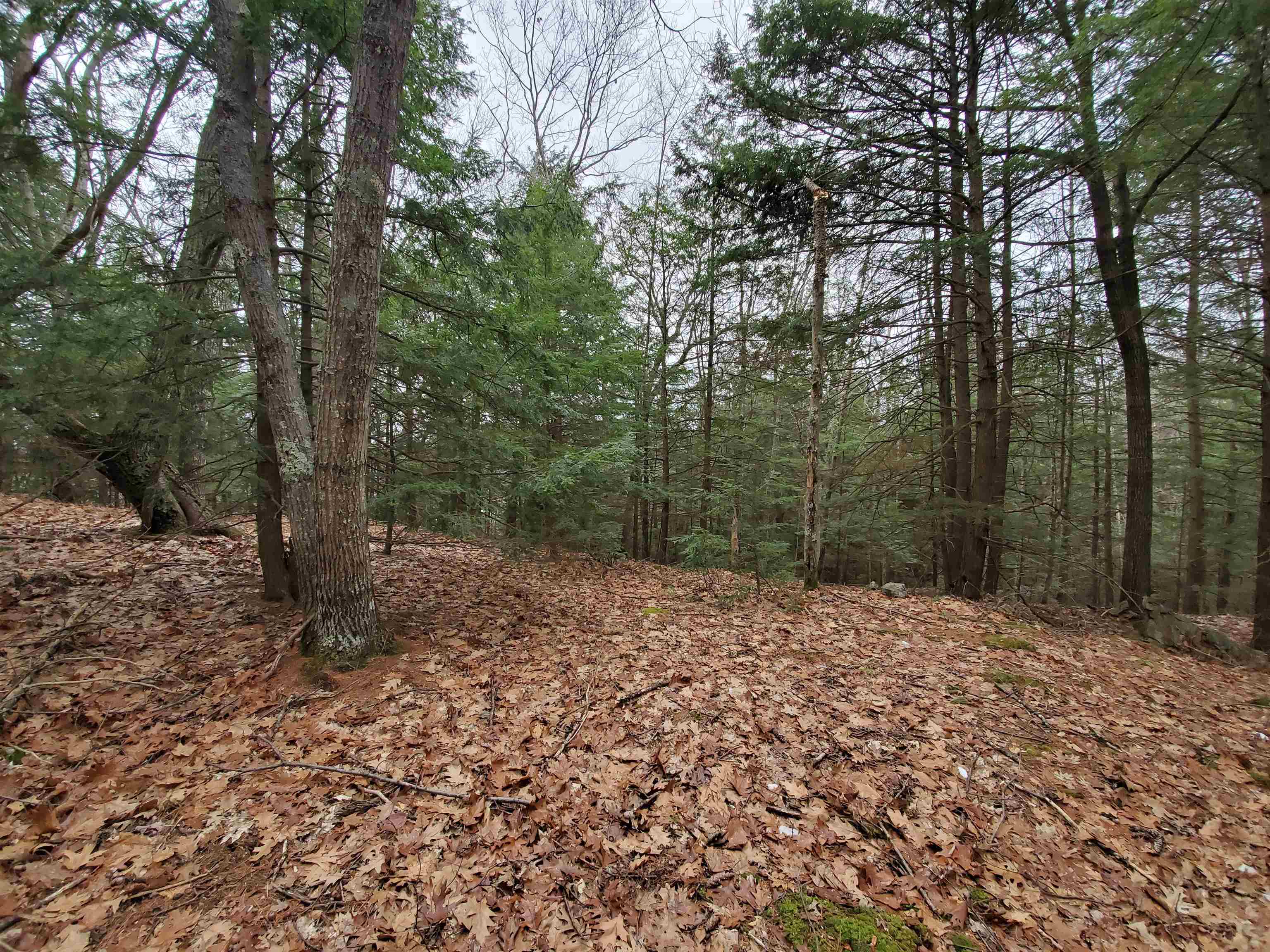 00 Berry Farms Road