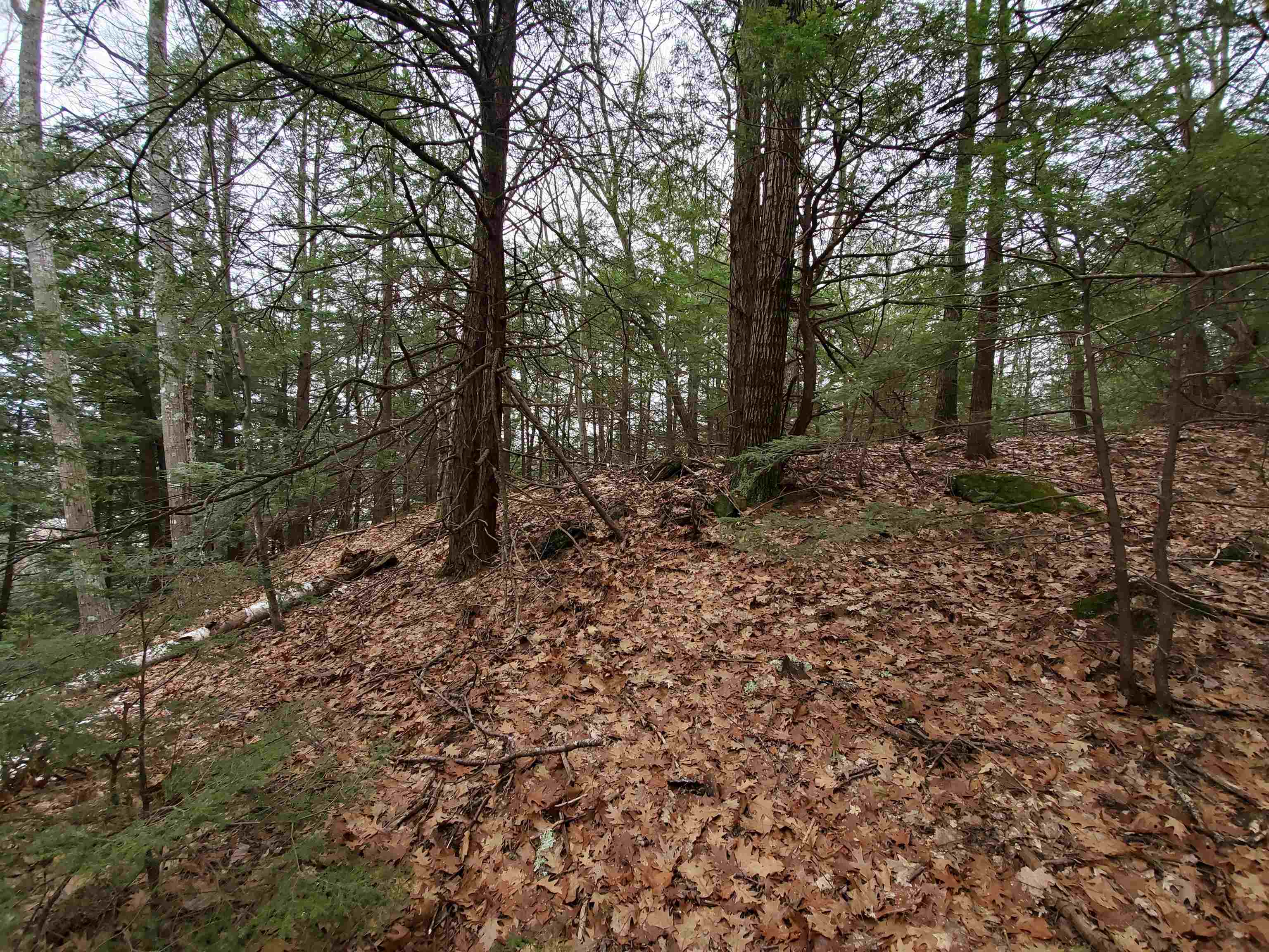 00 Berry Farms Road