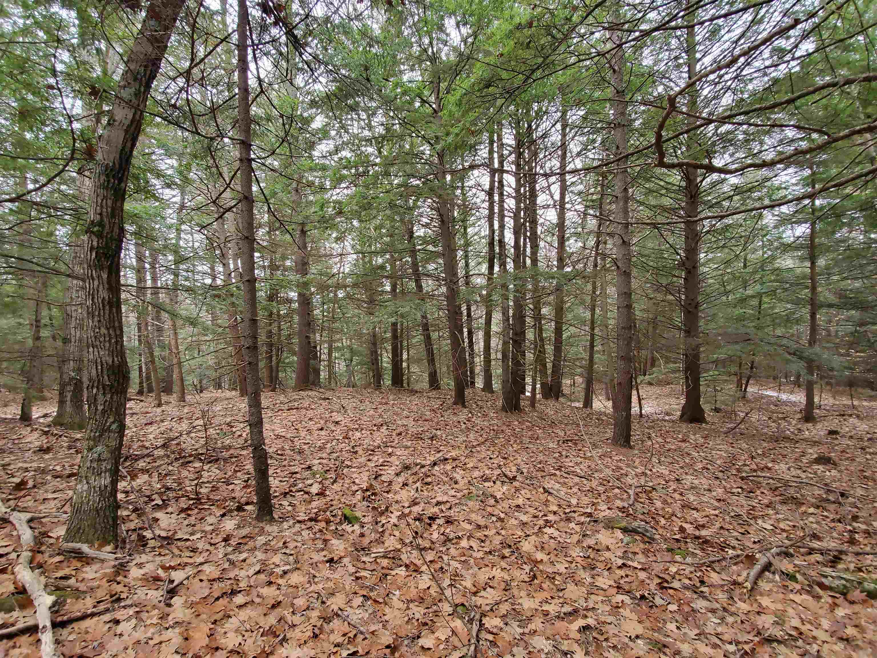 00 Berry Farms Road