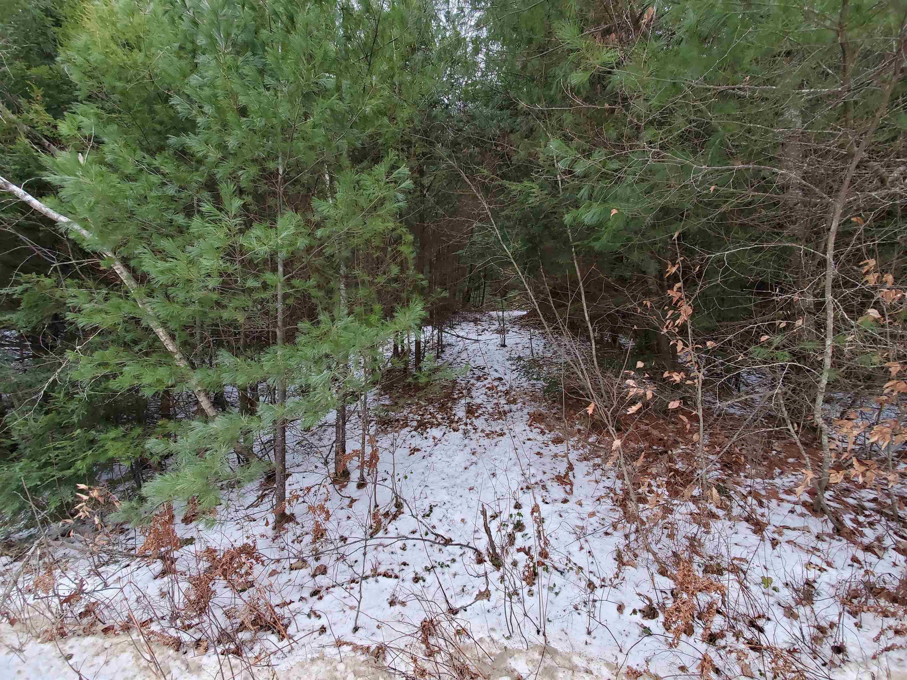 00 Berry Farms Road