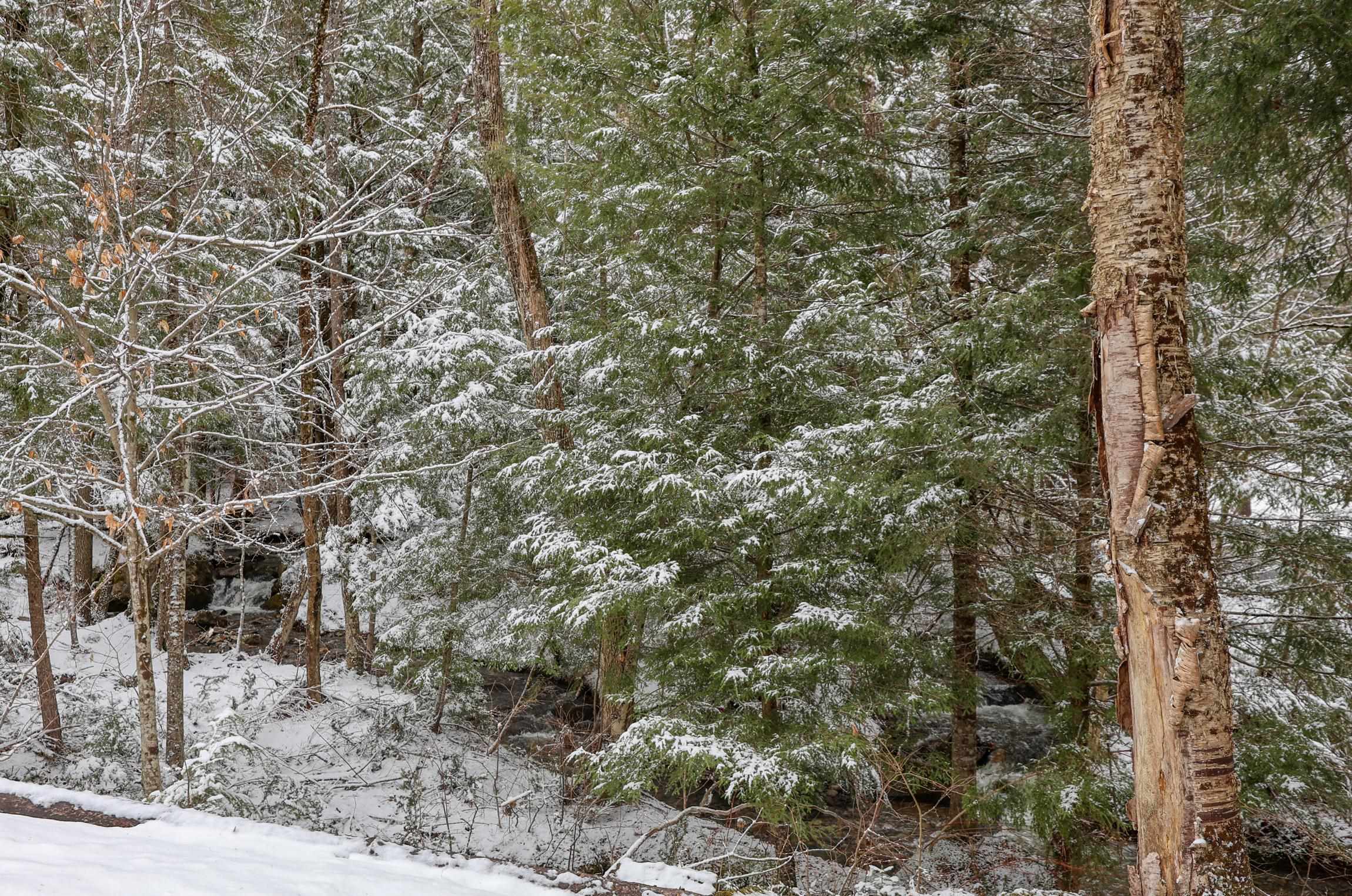 65 Piermont Heights Road