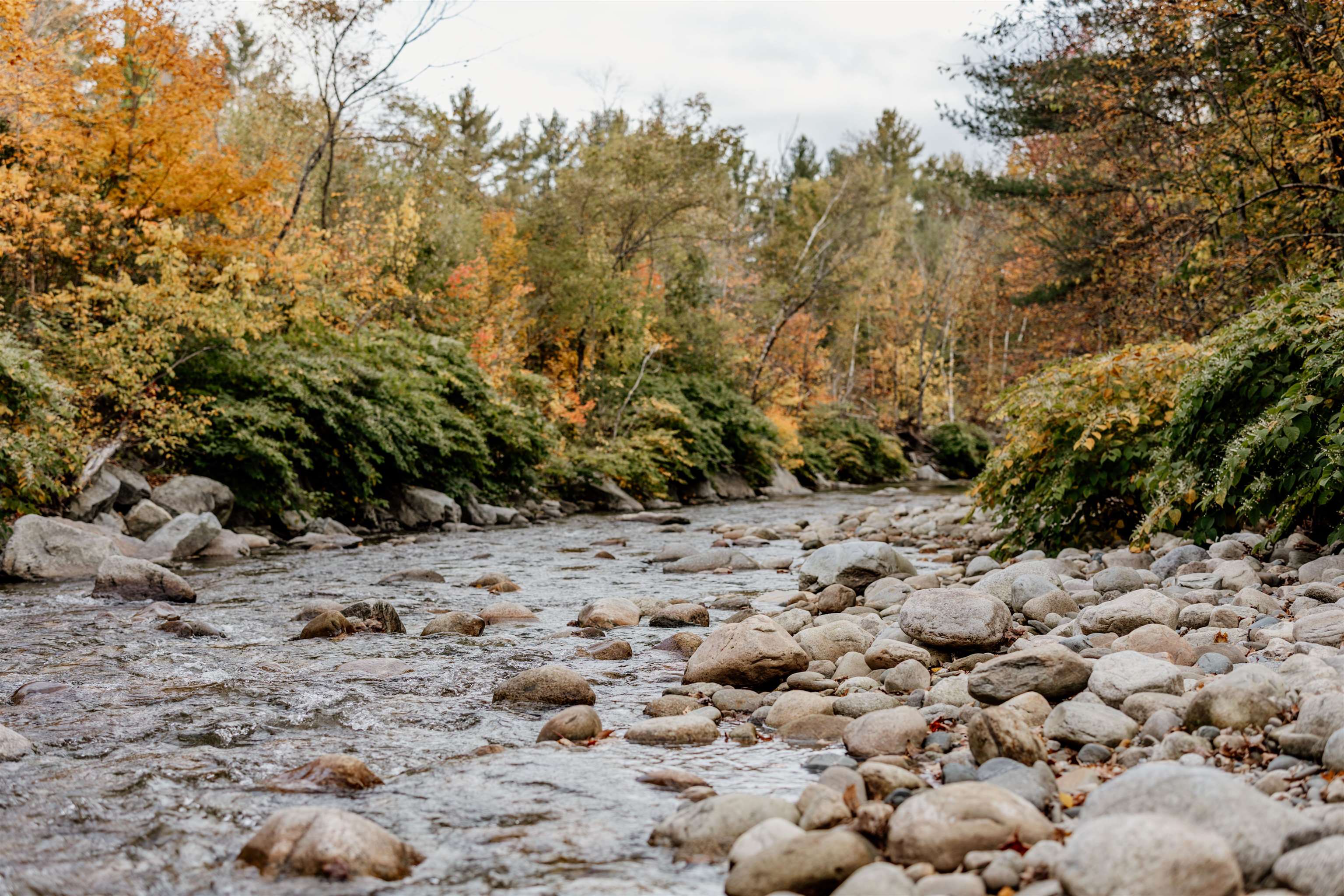 294 New Hampshire 25 Route