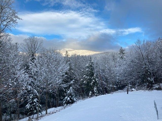 41 Bald Mountain Road