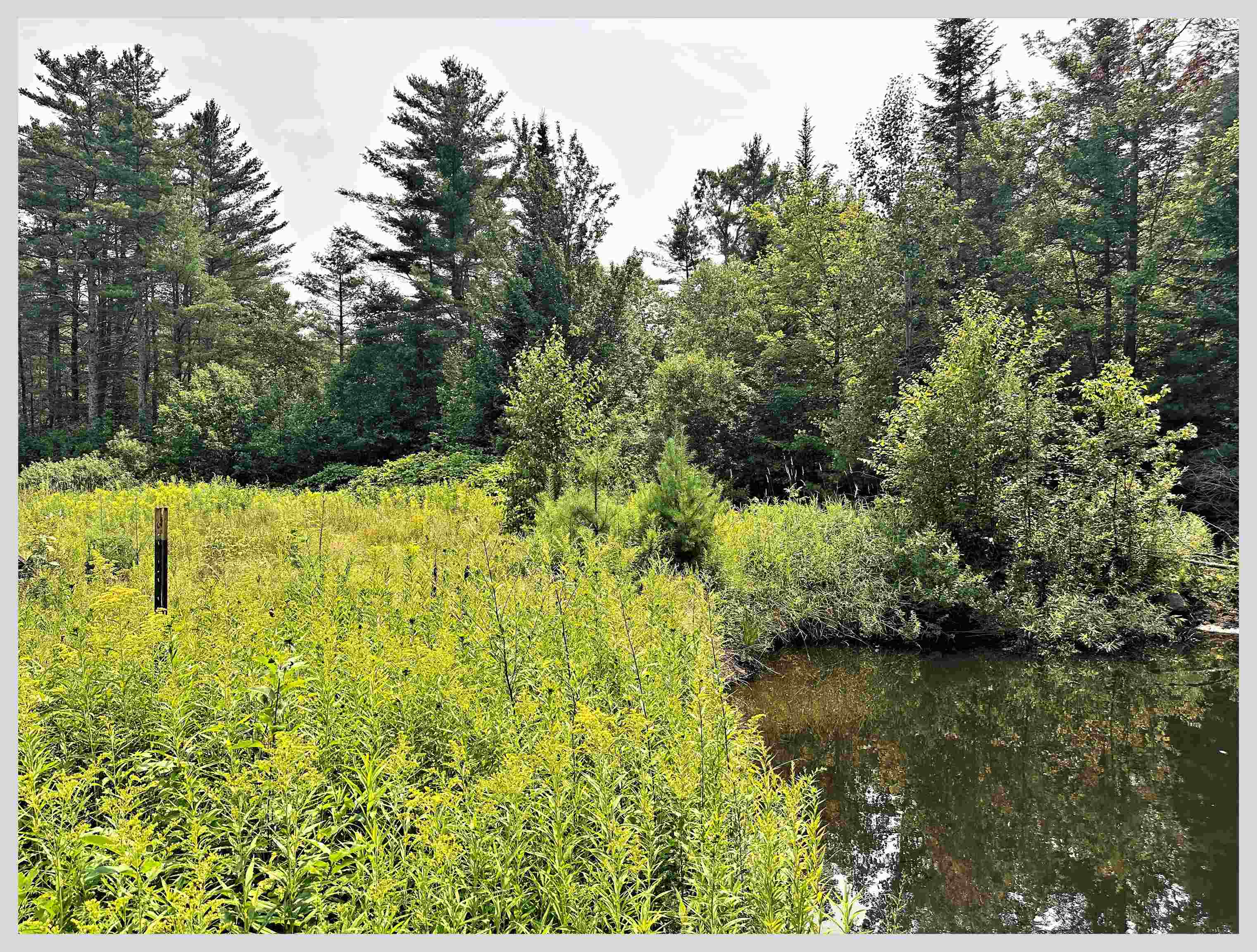 1810 North Dorchester Road