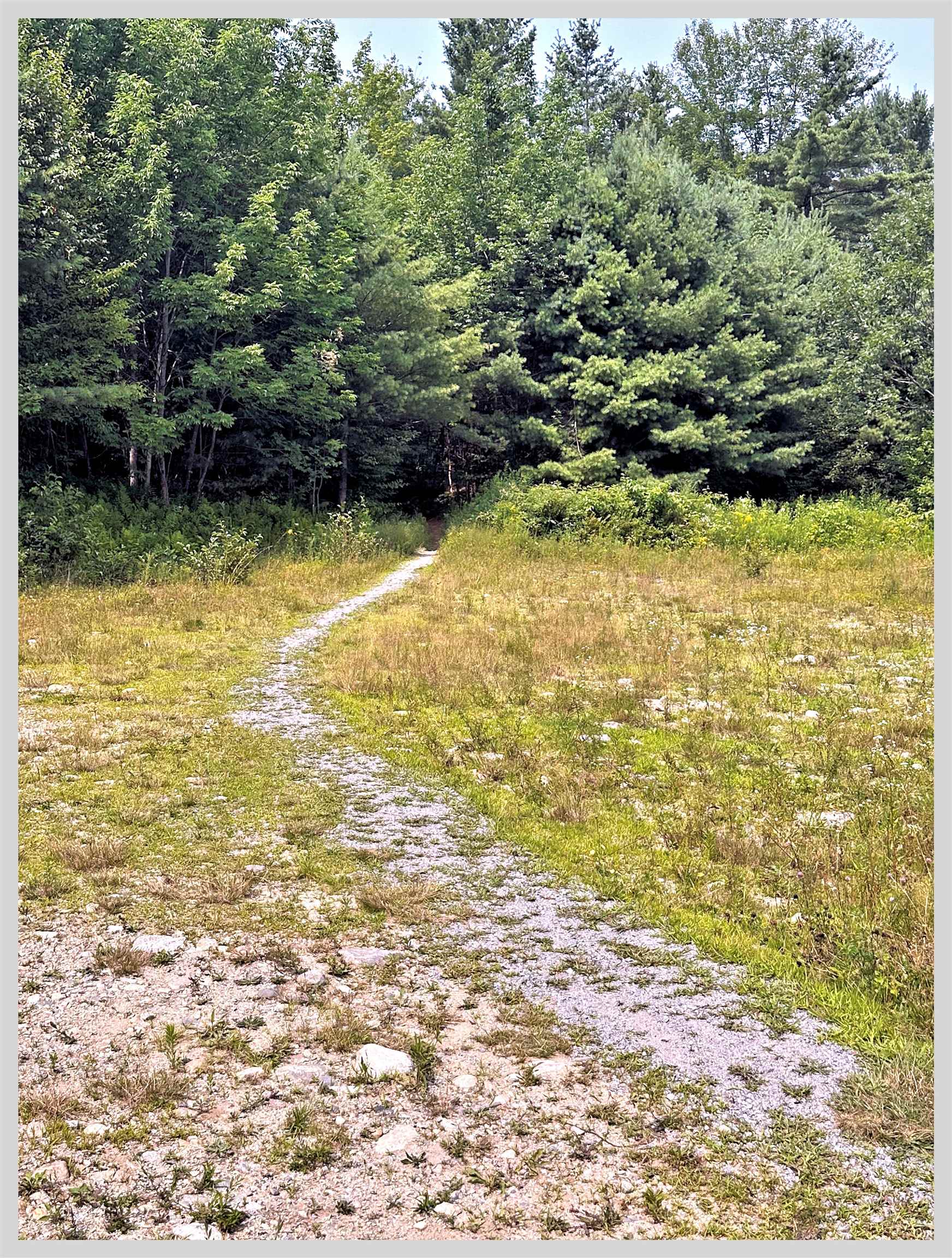 1810 North Dorchester Road