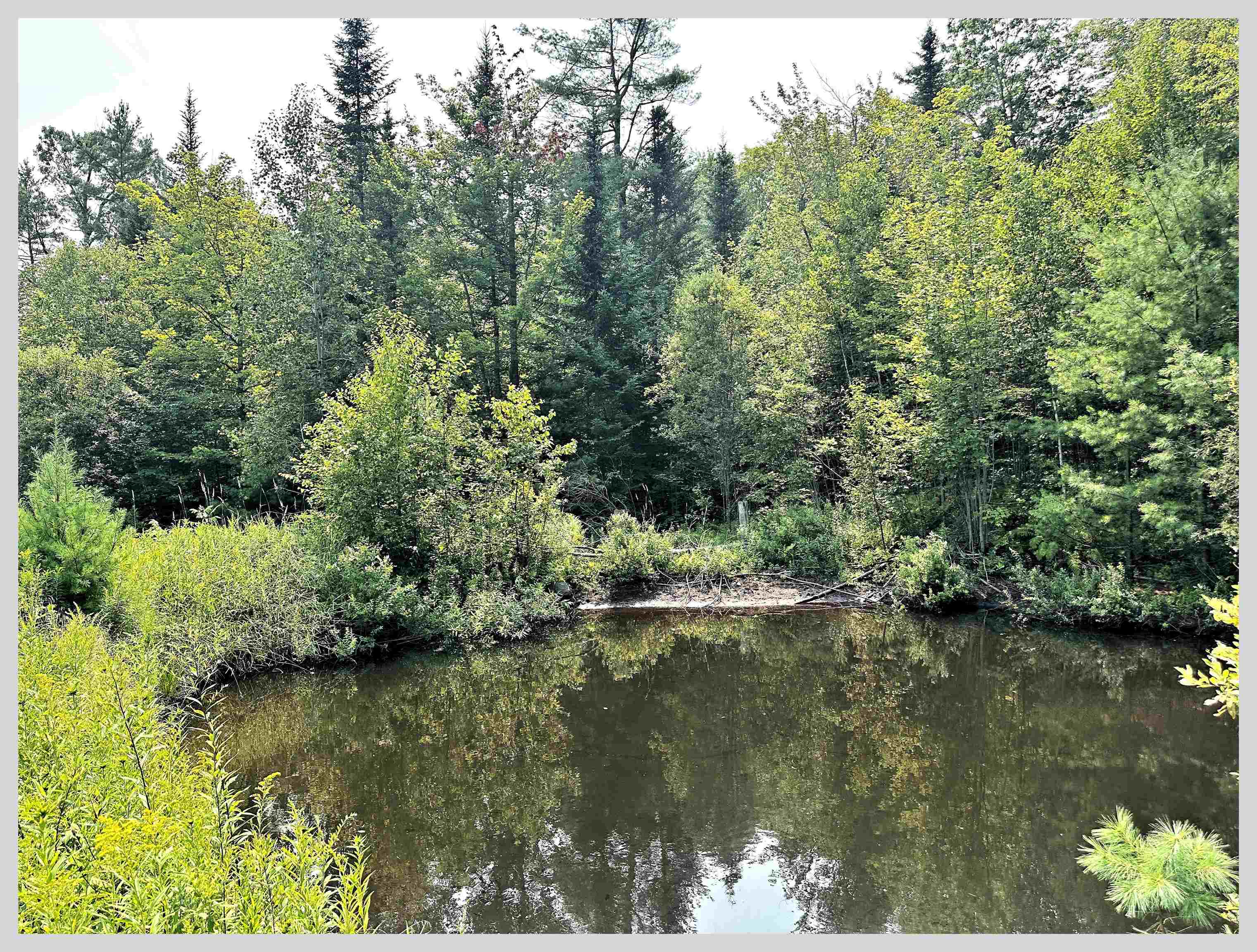 1810 North Dorchester Road