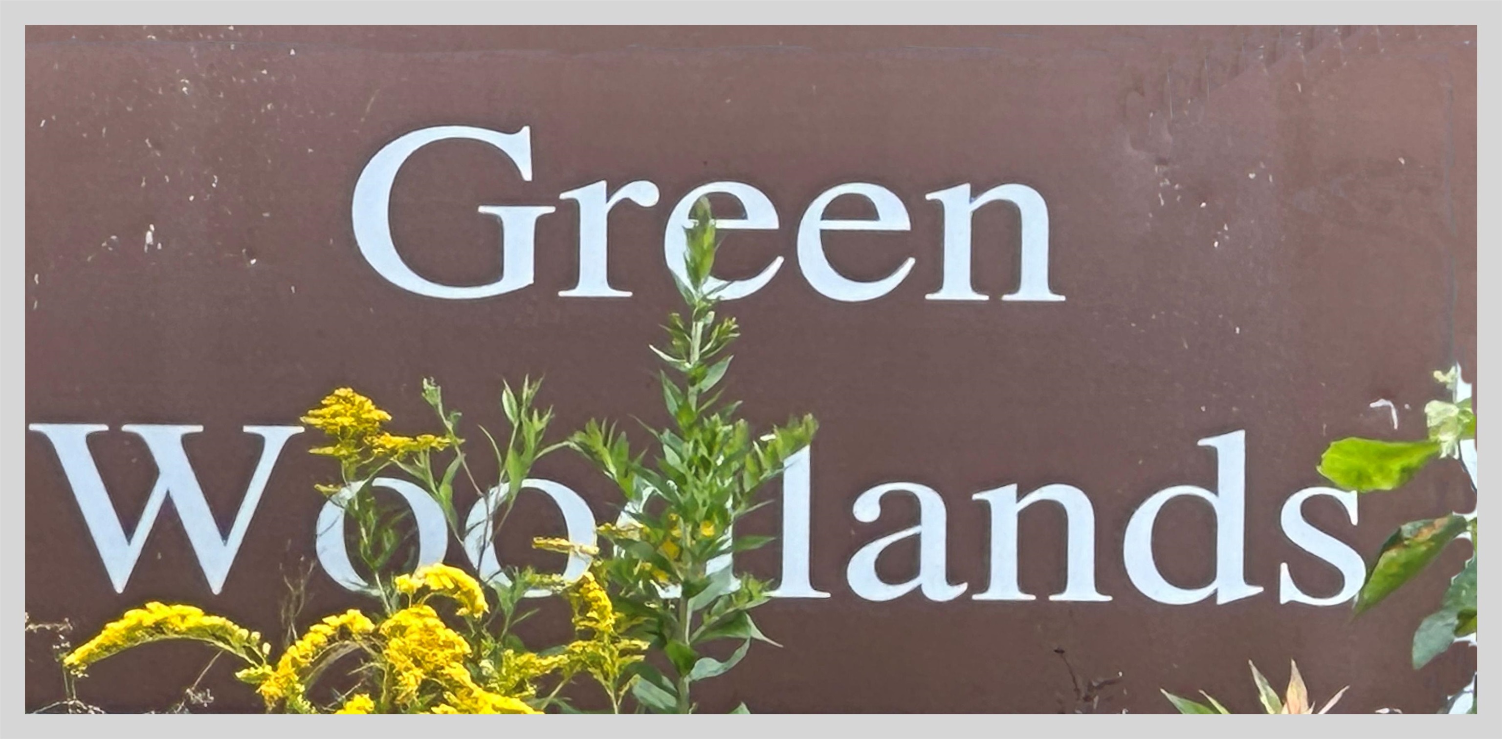 1810 North Dorchester Road