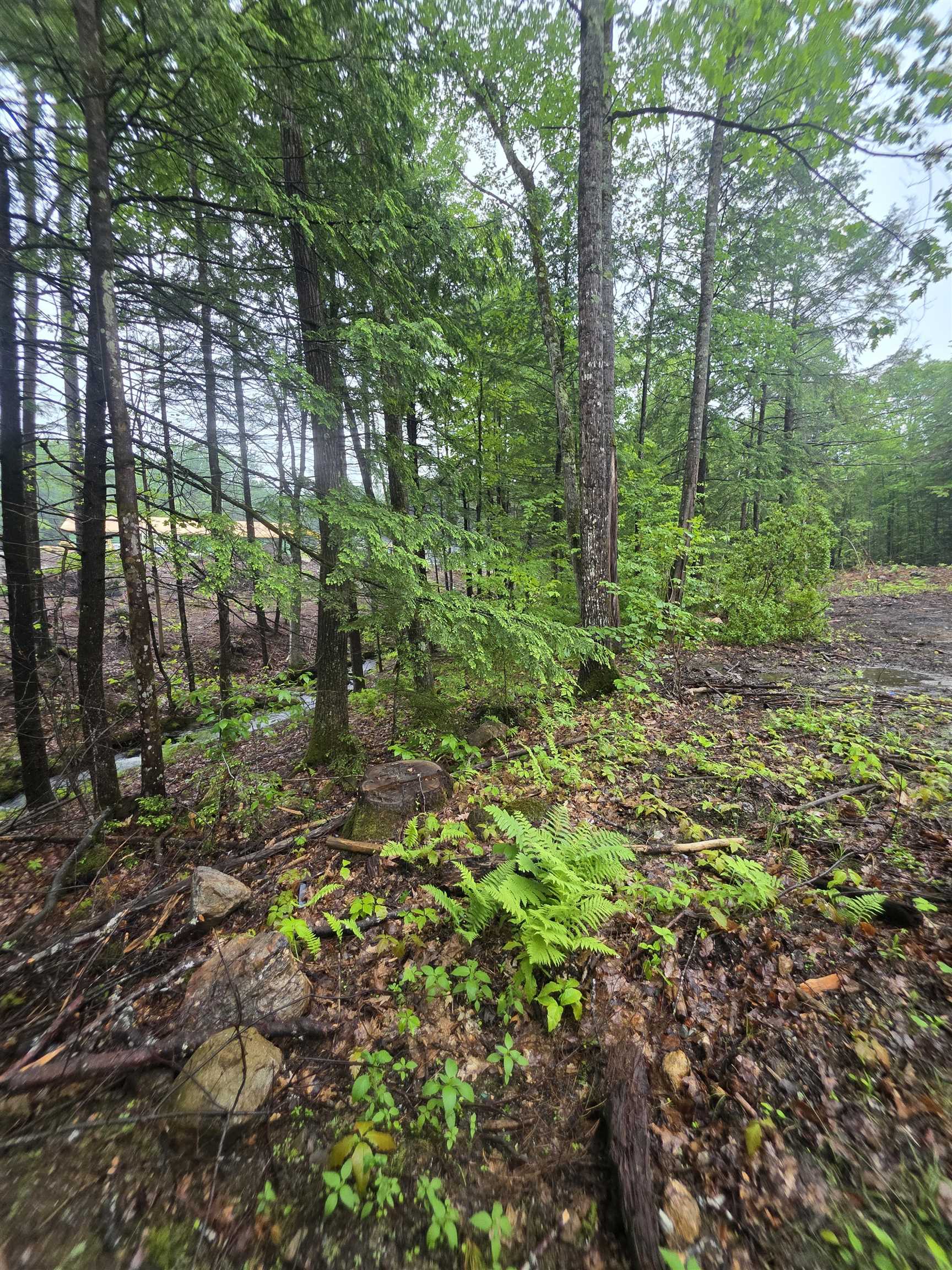 84 Texas Hill Road