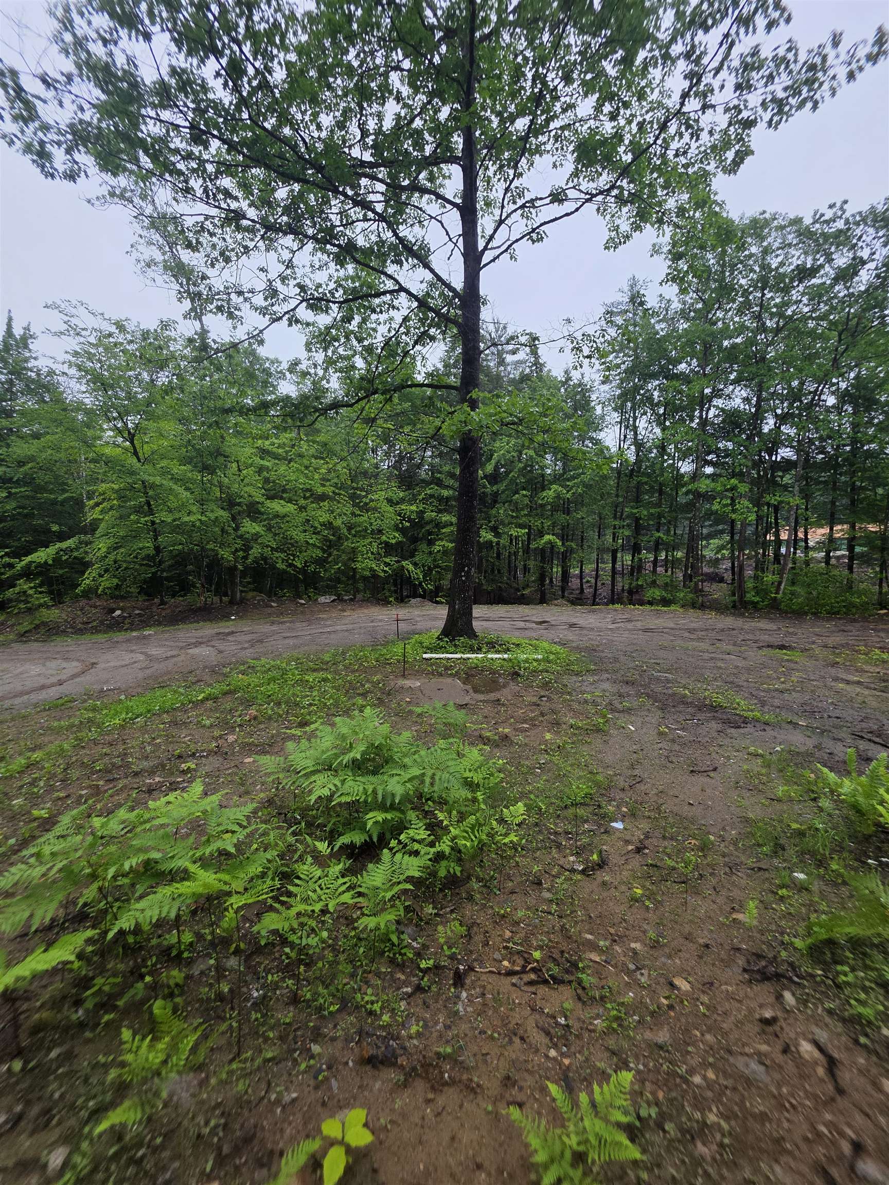 84 Texas Hill Road