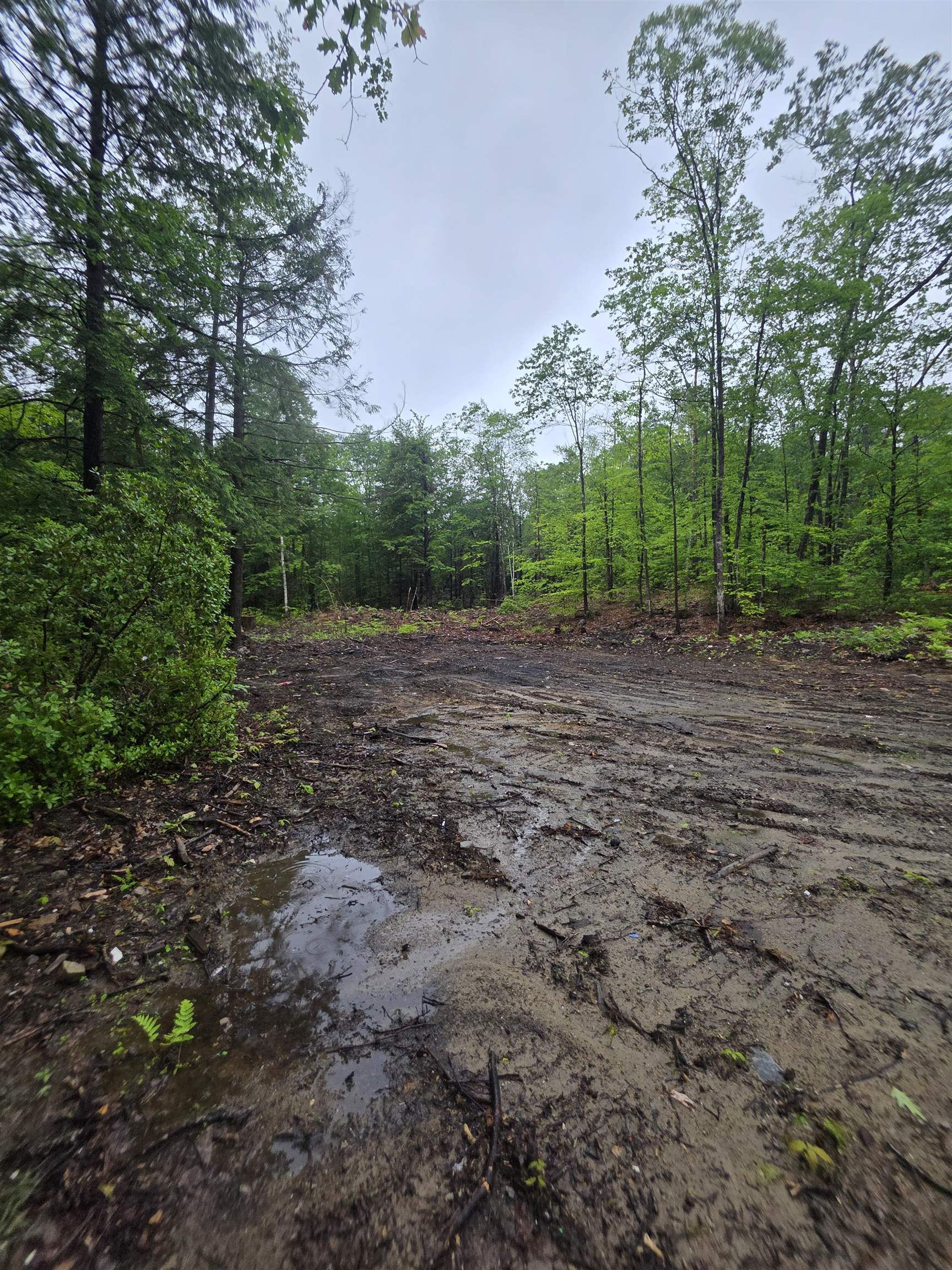 84 Texas Hill Road
