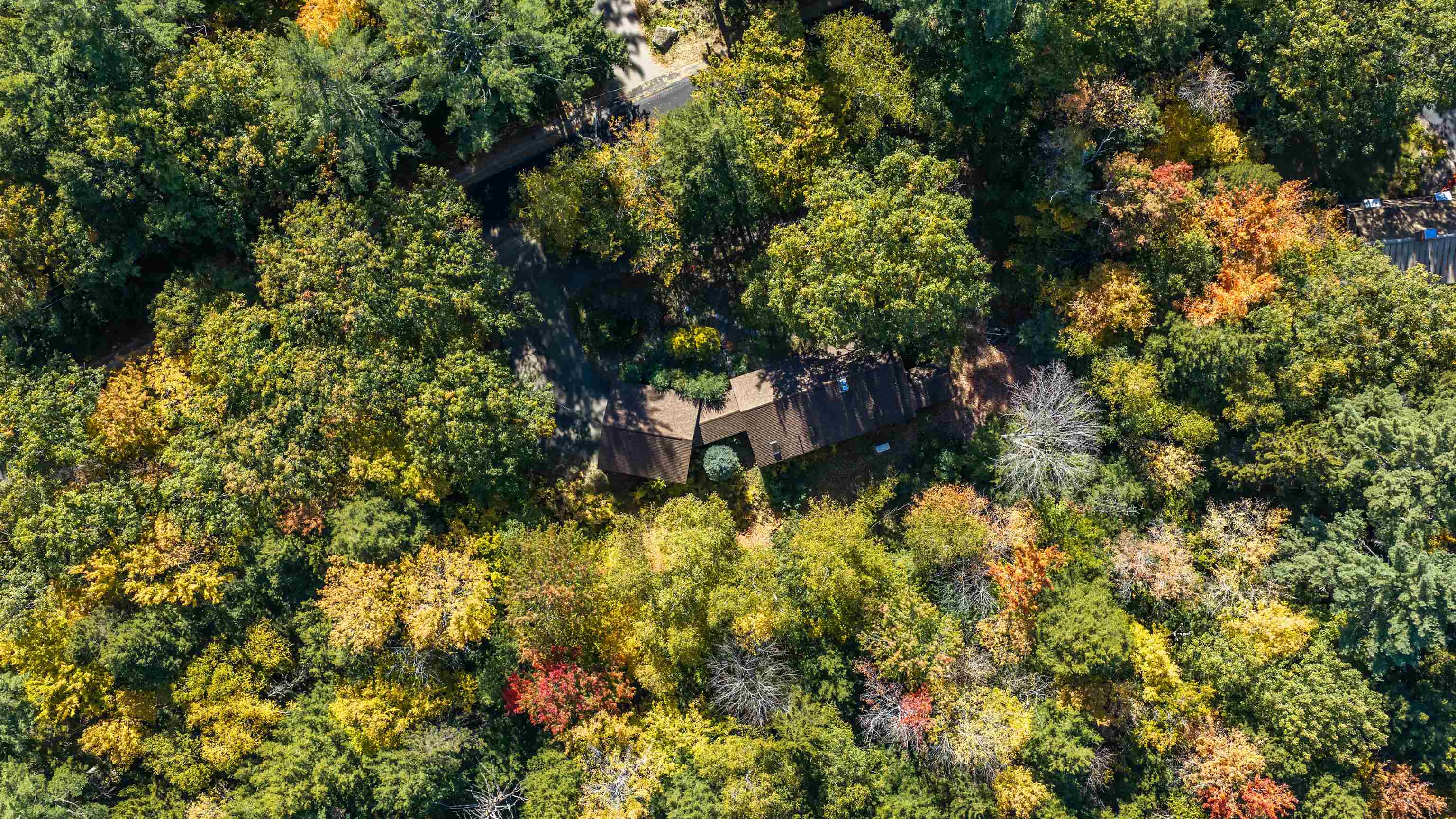 98 Cooper Road