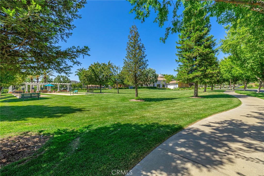 23785 Western Cedar Court