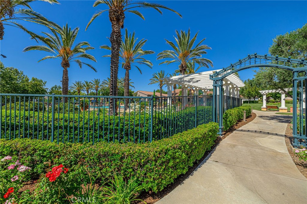 23785 Western Cedar Court