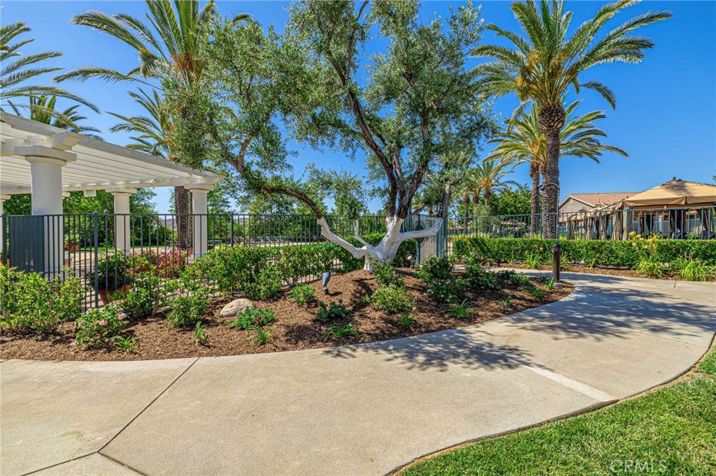 23785 Western Cedar Court