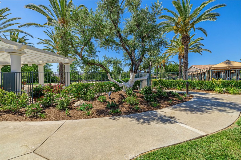 23785 Western Cedar Court