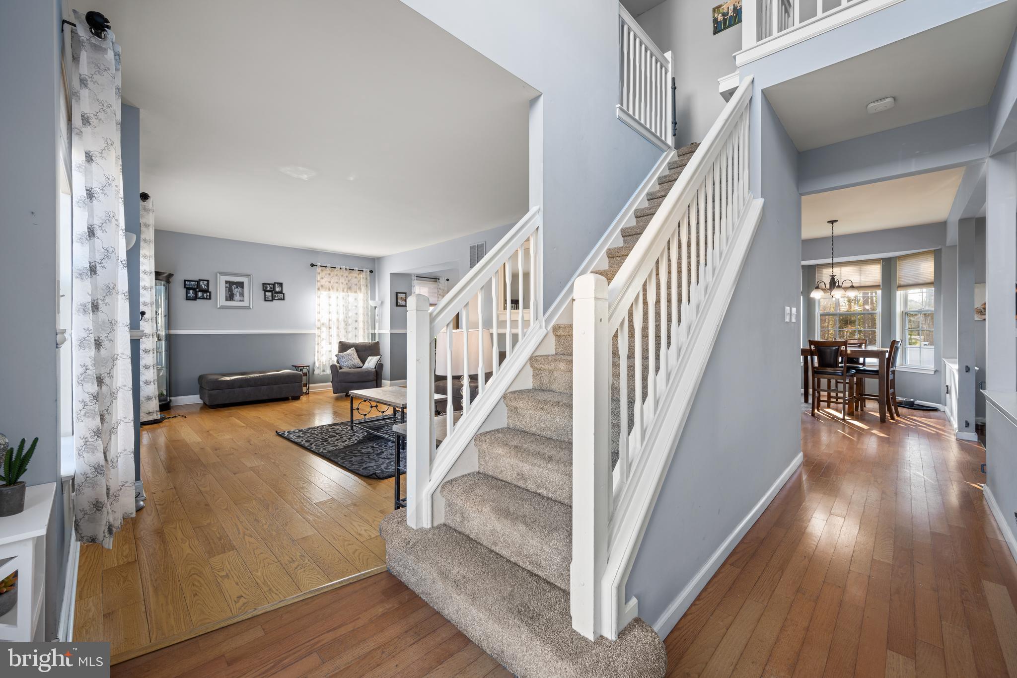 48 Cedar Grove Dr
