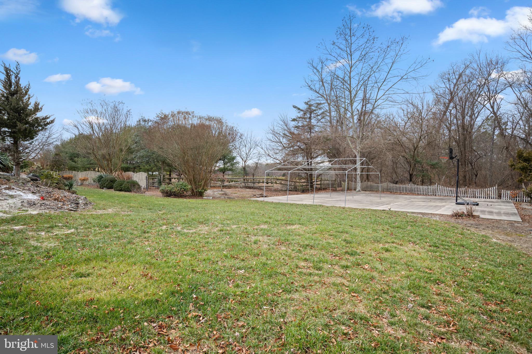1447 Piney Hollow