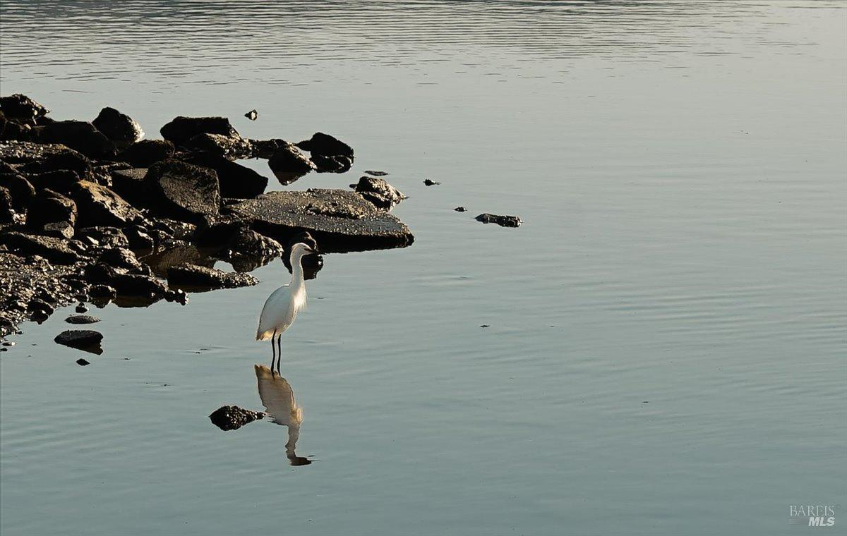 3225 Shelter Bay Ave