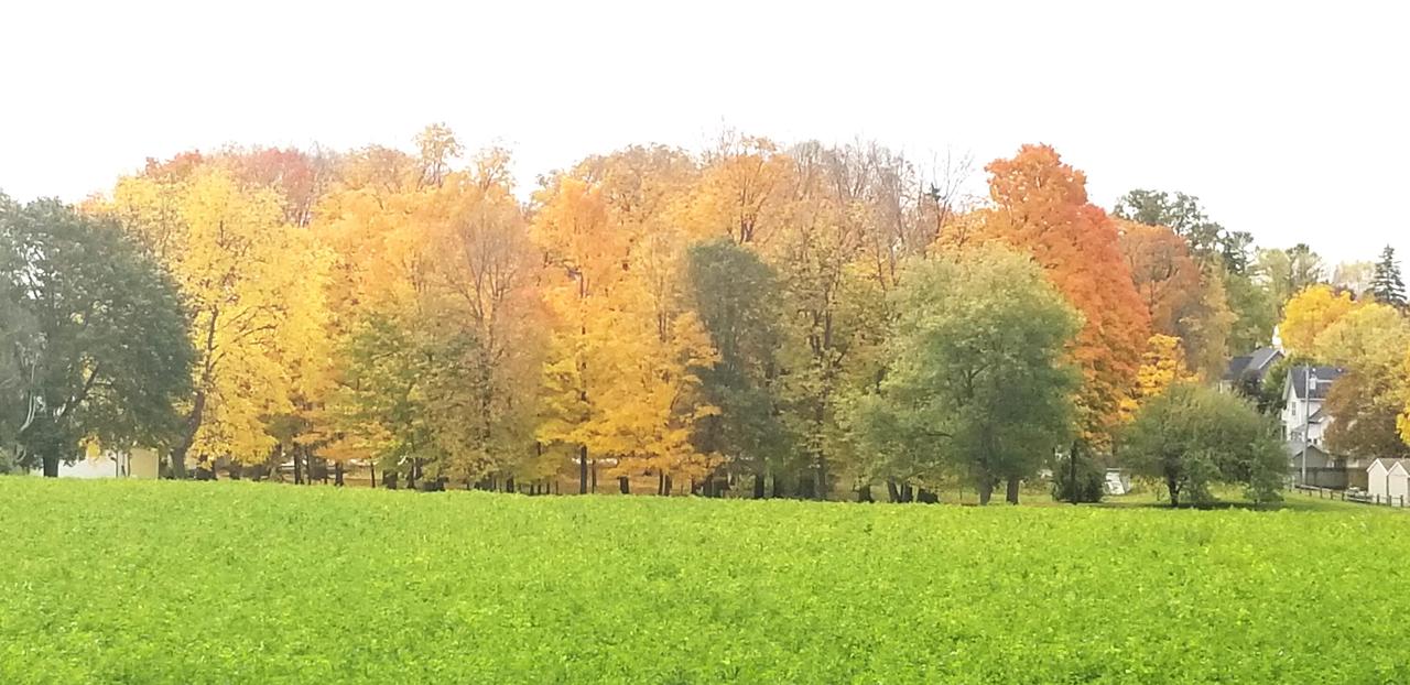 Lt1 SHEBOYGAN STREET