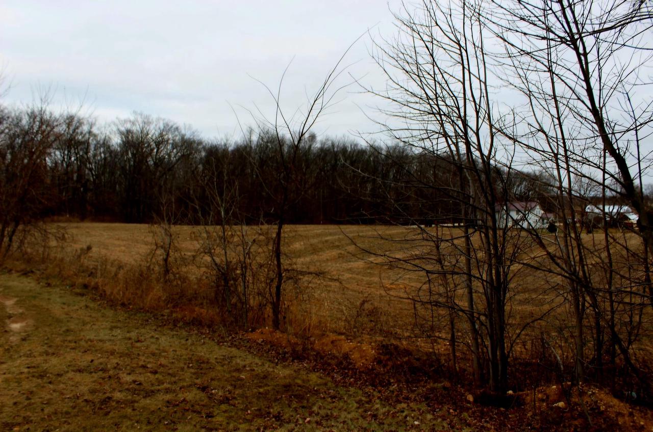 W1874 Woodland DRIVE