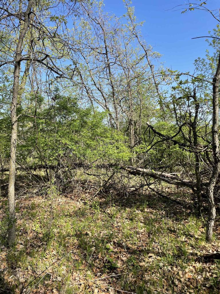 2 Acres Freedom Road