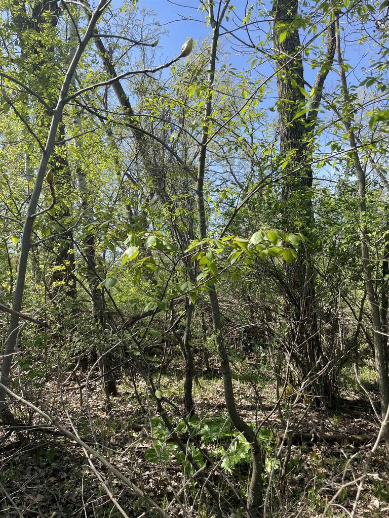 2 Acres Freedom Road