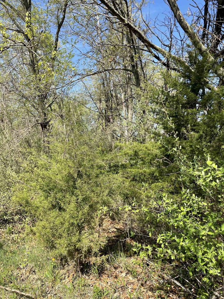 2 Acres Freedom Road