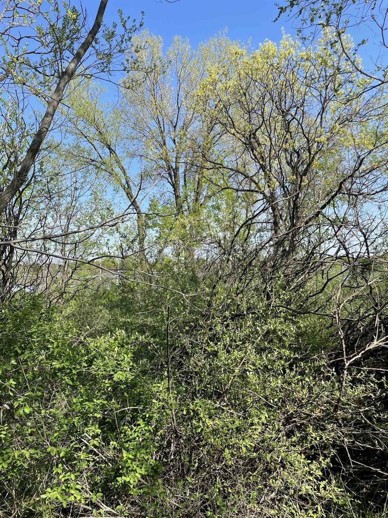 2 Acres Freedom Road