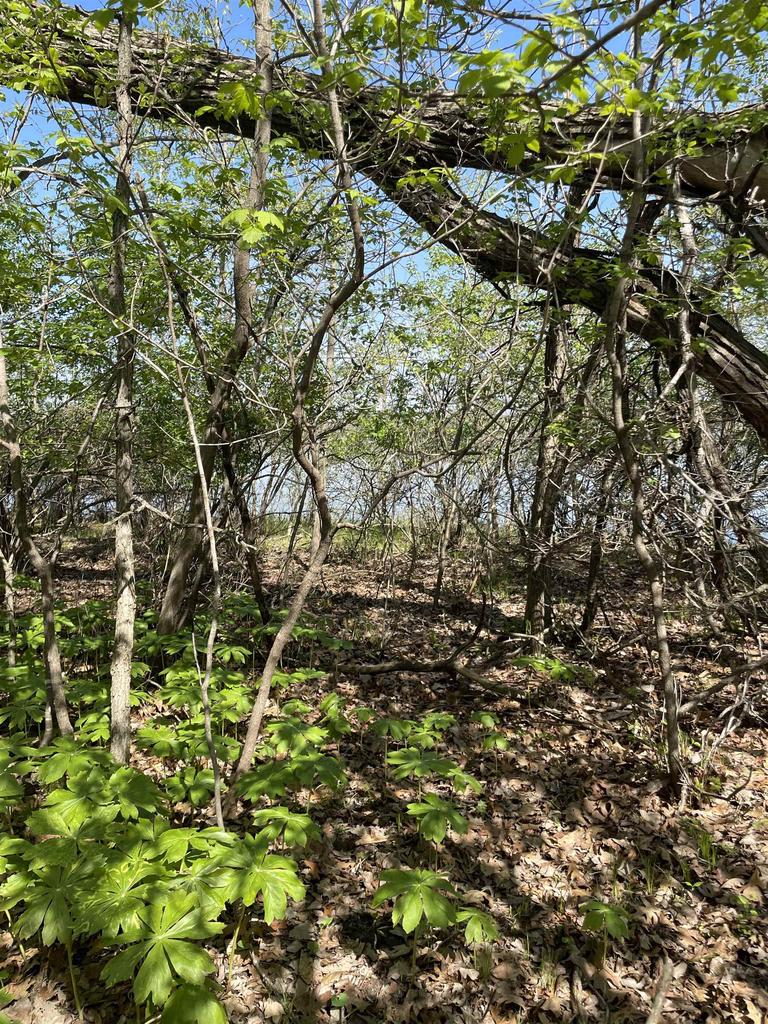 2 Acres Freedom Road