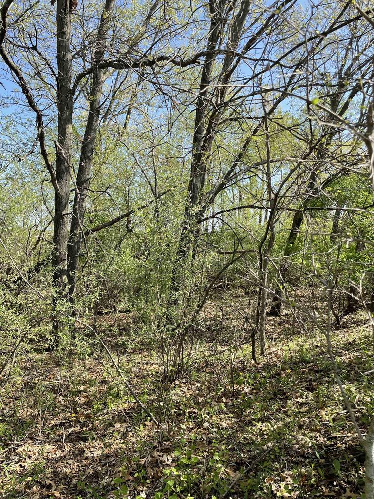 2 Acres Freedom Road