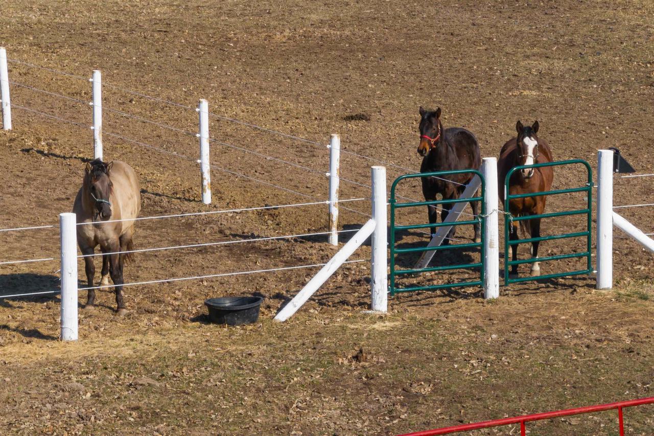 N6924 Forest Ridge Road